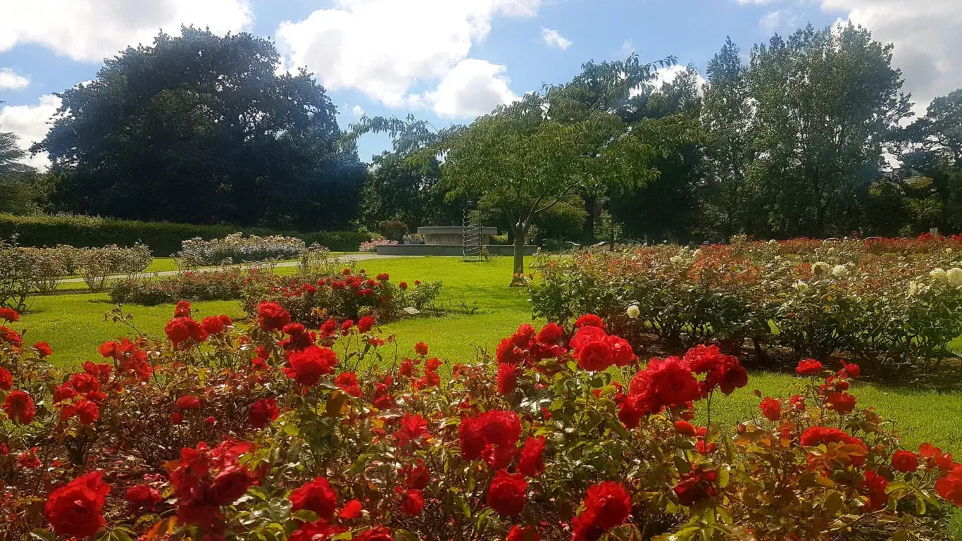 Tralee Rose Garden